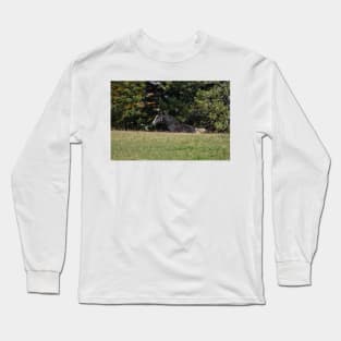 Foal Long Sleeve T-Shirt